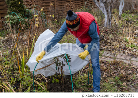 Winter Protection for garden, winter shelter for garden plants, shelter rhododendrons 136205735