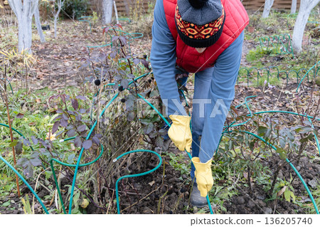 Winter Protection for garden, winter shelter for garden plants, shelter rhododendrons 136205740