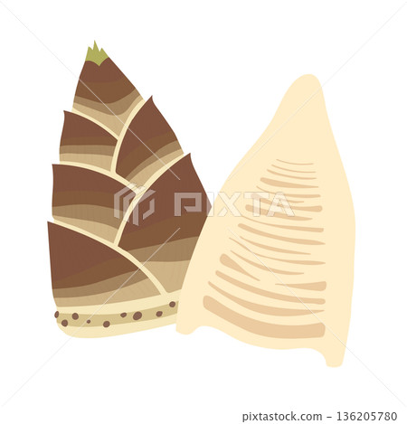 Food illustration of bamboo shoots with and without skin, sliced lengthwise Food illustration of bamboo shoots with and without skin, sliced lengthwise 136205780