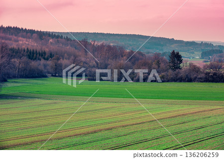 Rural landscape in spring. Cultivated fields against the backdrop of mountains during sunset. Countryside in the evening 136206259