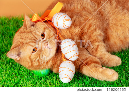 Funny ginger cat sleeping on his side on artificial grass with colorful Easter eggs. Horizontal banner 136206265