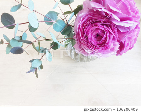 毛茛花禮品 136206409