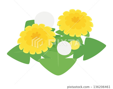 俯視視角下的可愛蒲公英插圖 136206461