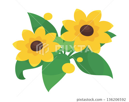 Cute Rudbeckia illustration material 136206592