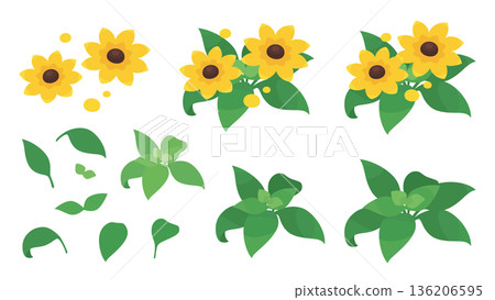 可愛的金光菊插畫素材套裝 136206595