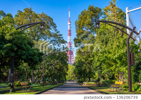 A view of Tokyo Tower from the tree-lined streets of Shiba Park A view of Tokyo Tower from the tree-lined streets of Shiba Park 136206739