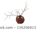 Ceramic vase on white background 136206813
