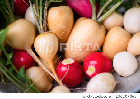 Close up of colorful radishes with leafy tops in metal strainer Close up of colorful radishes with leafy tops in metal strainer 136207065