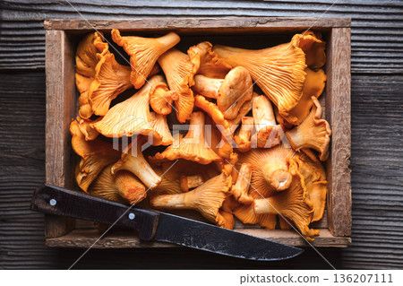 Fresh chanterelles on wooden board 136207111