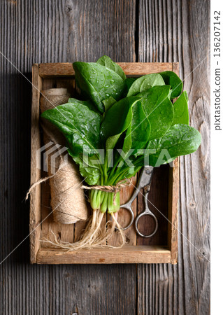 Fresh wet spinach leaves with water droplets 136207142