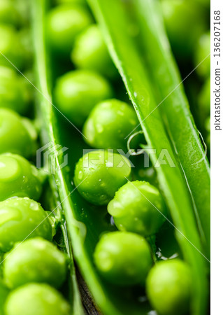 Macro view of green peas in pods showing fresh texture Macro view of green peas in pods showing fresh texture 136207168