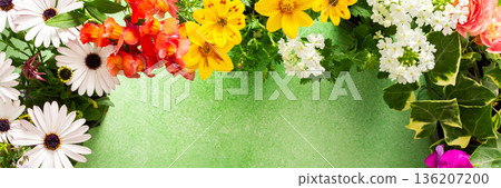 A beautiful collection of spring flowers decorates a balcony or terrace, creating a lively and cheerful atmosphere. Various colors and types of flowers bring joy to the space., banner A beautiful collection of spring flowers decorates a balcony or terrace, creating a lively and cheerful atmosphere. Various colors and types of flowers bring joy to the space., banner 136207200