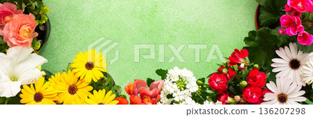 Bright flowers adorn a balcony or terrace, bringing vibrant colors to the space. This spring decoration highlights the joy of nature, inviting warmth and cheer into the environment, banner 136207298