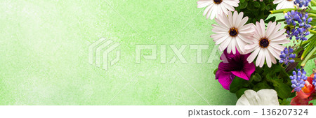 A beautiful array of spring flowers in various colors adorns a balcony, bringing life and brightness to the outdoor area. The flowers add joy and warmth to the setting., banner A beautiful array of spring flowers in various colors adorns a balcony, bringing life and brightness to the outdoor area. The flowers add joy and warmth to the setting., banner 136207324