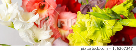 A group of mixed gladiolus flowers in shades of red, white, yellow, and purple stands in a vase. The flowers are fresh and arranged closely, creating a colorful bouquet, banner A group of mixed gladiolus flowers in shades of red, white, yellow, and purple stands in a vase. The flowers are fresh and arranged closely, creating a colorful bouquet, banner 136207347