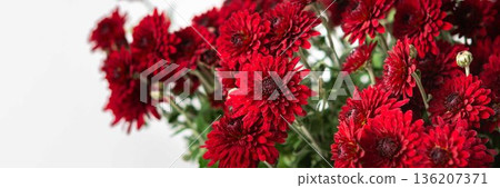 A yellow vase holds a bunch of bright red flowers. The flowers are arranged with green leaves. The setting shows a simple background with soft natural light coming in, banner A yellow vase holds a bunch of bright red flowers. The flowers are arranged with green leaves. The setting shows a simple background with soft natural light coming in, banner 136207371