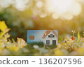 House Credit Card On Grass 136207596