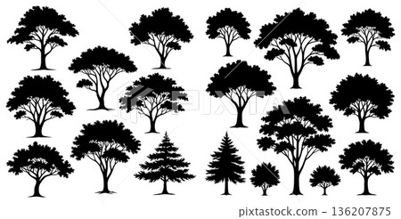 silhouettes collection of deciduous and coniferous trees, nature woodland illustration, tree set silhouettes collection of deciduous and coniferous trees, nature woodland illustration, tree set 136207875