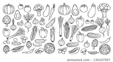 Sketch collection of different vegetables in cartoon style, healthy food monochrome illustration 136207907