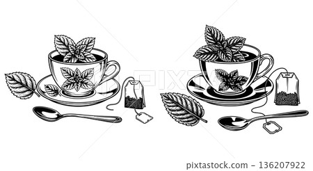 Handdrawn mint tea illustrations featuring teacup, saucer, tea bag, spoon, and leaves 136207922