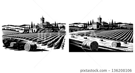 Monochrome vineyard landscape with haystack rolls and Tuscan villa, agricultural illustrations 136208106
