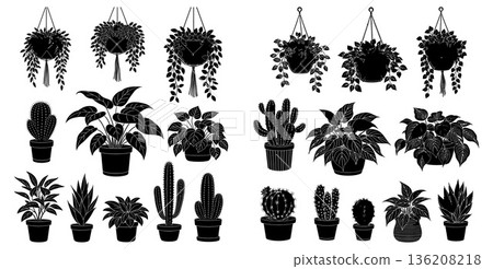 Potted houseplants and hanging basket plants silhouette collection for interior decor projects 136208218