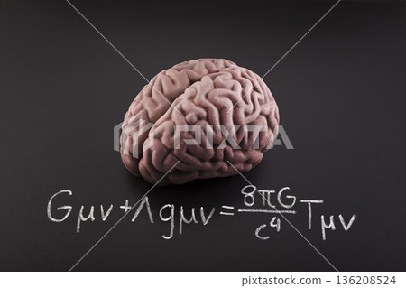 Human brain model with Albert Einstein's Field Equation. Science, education and learning concept. Human brain model with Albert Einstein's Field Equation. Science, education and learning concept. 136208524