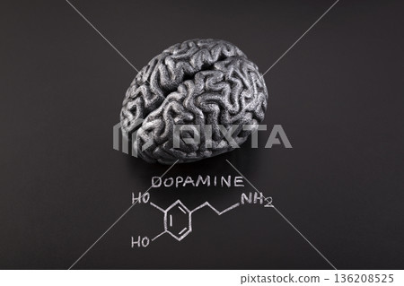 Human brain model with chemical formula of dopamine drawn with chalk on scholl blackboard. 136208525