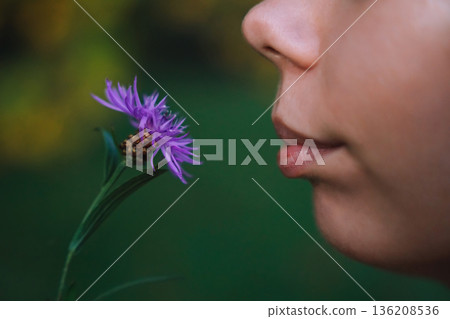 Side View Close Up Portrait of Young Woman Smelling Purple Wildflower Soft Lips Natural Skin Texture and Shallow Depth of Field in Green Outdoor Background Side View Close Up Portrait of Young Woman Smelling Purple Wildflower Soft Lips Natural Skin Texture and Shallow Depth of Field in Green Outdoor Background 136208536