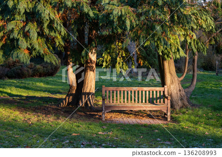 Park bench in late afternoon sunshine. Bench in Kelsey Park, Beckenham, Kent, UK with two trees, grass and light snow. 136208993