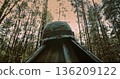 Low angle view of German helmet atop camouflage tent in forest Low angle view of German helmet atop camouflage tent in forest 136209122