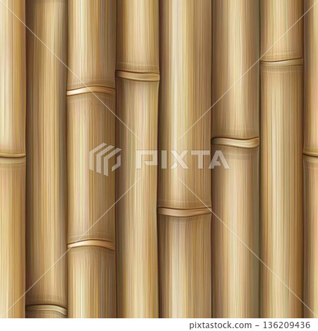 Seamless texture of bamboo wood 136209436