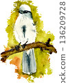 Watercolor sketch of a bird isolated on transparent background 136209728