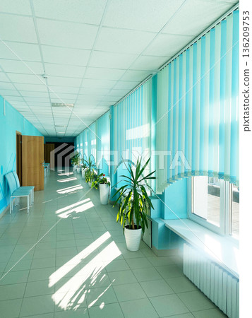 Bright corridor with turquoise walls and large windows, featuring potted plants along the sides, creating a serene and inviting atmosphere in a modern interior space Bright corridor with turquoise walls and large windows, featuring potted plants along the sides, creating a serene and inviting atmosphere in a modern interior space 136209753