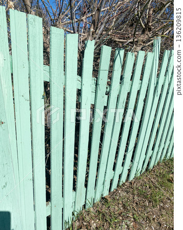 Weathered mint green wooden fence with vertical slats, surrounded by overgrown vegetation, creating a rustic outdoor atmosphere and natural privacy barrier Weathered mint green wooden fence with vertical slats, surrounded by overgrown vegetation, creating a rustic outdoor atmosphere and natural privacy barrier 136209815