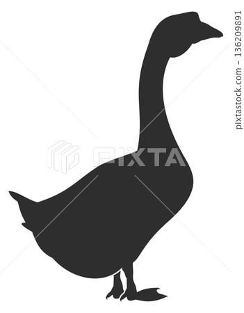 Goose black silhouette. Poultry symbol. Farm bird Goose black silhouette. Poultry symbol. Farm bird 136209891