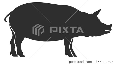 Pig black silhouette. Farm livestock. Animal icon 136209892