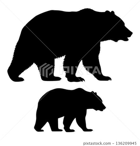 Bear silhouettes representing family parent child and wildlife concept art 136209945