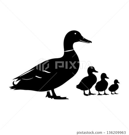 Black Silhouette of a Duck with Ducklings on White Background Black Silhouette of a Duck with Ducklings on White Background 136209963