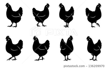 Chicken Silhouette Vector Graphics Farm Animal Icons Poultry Hen Black Silhouettes 136209970
