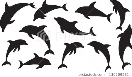 black silhouettes of dolphins swimming leaping playing and interacting in an ocean beanscape with various poses showing their aquatic dance in nature marine wildlife ocean 136209981