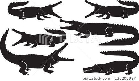 Crocodile silhouettes in various poses and sizes isolated on transparent background for graphic design projects and creative compositions 136209987