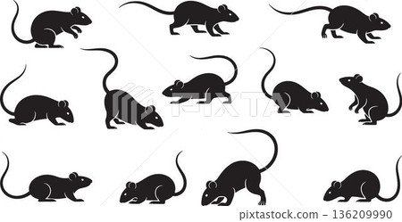 Black Mouse Silhouette Collection in Various Poses Featuring Small Rodent Shapes, Creative Animal Designs Isolated on Transparent Background for Graphic and Digital Projects 136209990