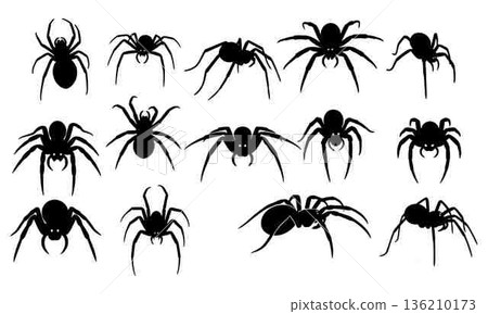 Collection of detailed spider silhouettes for Halloween or graphic design projects 136210173