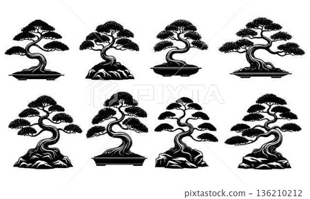 Elegant Bonsai Tree Collection Artistic Designs and Contemplative Elements 136210212