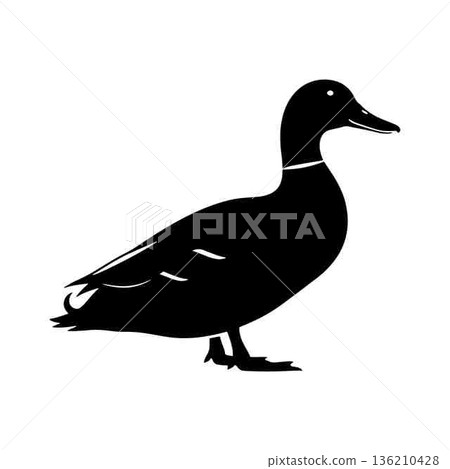 Elegant Duck Silhouette on White Background for Graphic Design Projects 136210428