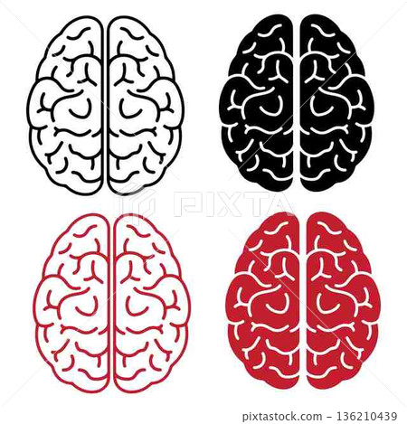 Four Brain Icons representing different concepts of human intellect Four Brain Icons representing different concepts of human intellect 136210439