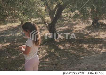 Child enjoying a walk through an old olive field on a warm, sunny day 136210772