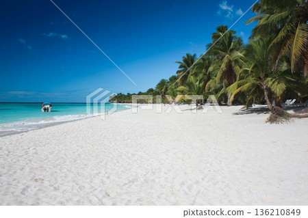 A beach with palm trees and a boat in the water 136210849