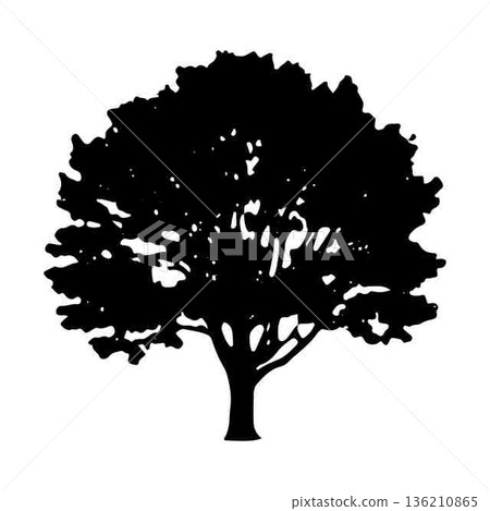 Silhouette of a Majestic Tree against a Clean White Background Silhouette of a Majestic Tree against a Clean White Background 136210865